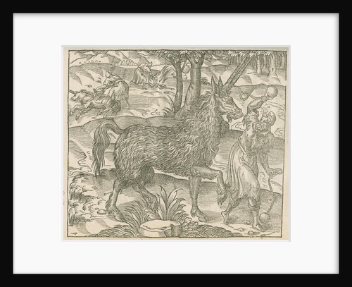 'Figure du Pirassoipi, espece de Licorne d'Italie' by Anonymous