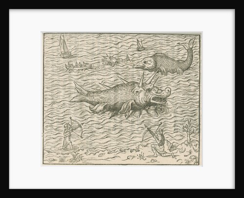 'Figure du Poission nomme Caspilly' by Anonymous