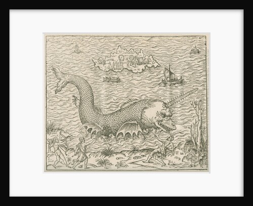 'Figure du Poission nomme Vletif' by Anonymous