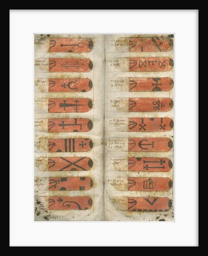 Swan marks of Lincolnshire by Anonymous