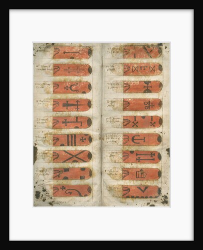 Swan marks of Lincolnshire by Anonymous