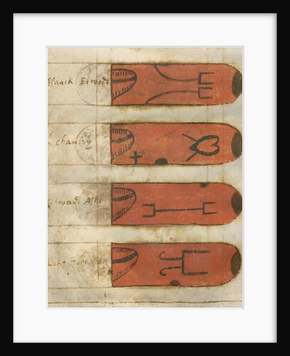 Swan marks of Lincolnshire by Anonymous