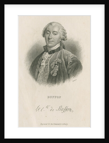 Portrait of George Louis Leclerc, Comte de Buffon (1707-1788) by William Home Lizars