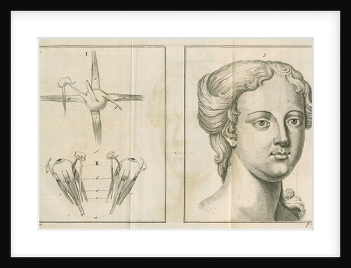 'The back view of the eye & the countenance in easy composure' by James Mynde