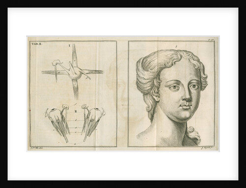 'The back view of the eye & the countenance in easy composure' by James Mynde