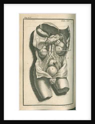 The internal organs by Gerard Vandergucht