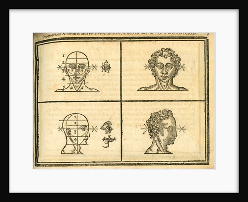 Front and side view of the head by unknown