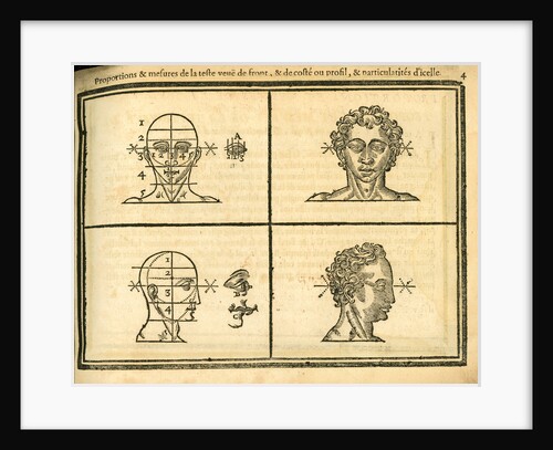 Front and side view of the head by unknown