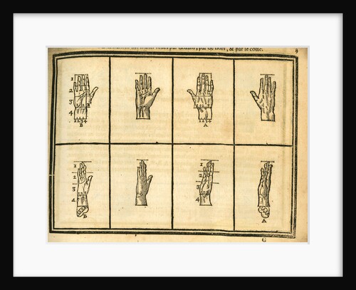 Proportions of the hand by unknown