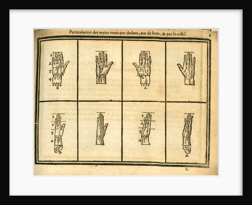 Proportions of the hand by unknown