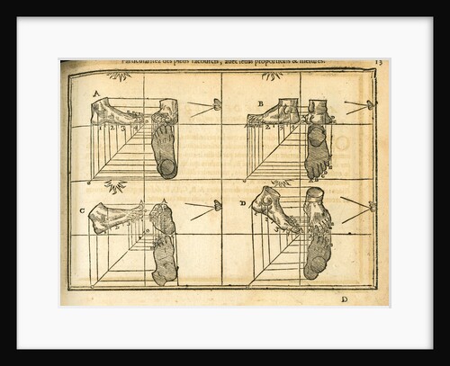 Movement and perspective of the foot by unknown