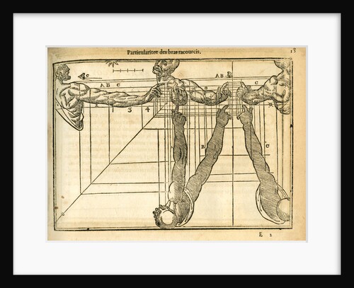 Head, shoulders and arm by unknown