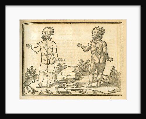 Proportions of a child (back view) by unknown