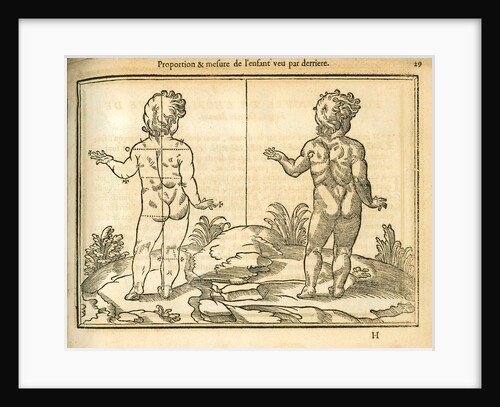 Proportions of a child (back view) by unknown