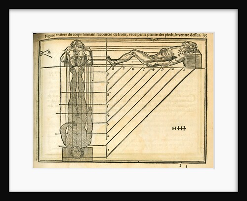 Views of the reclining male figure by unknown