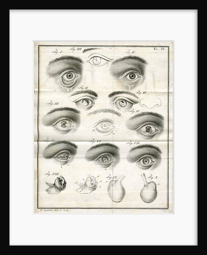 Diagrams of the eye by Faustino Anderloni