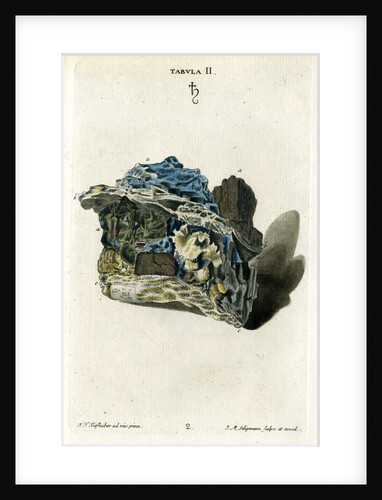 'Plumbago' (graphite) by Johann Michael Seligmann