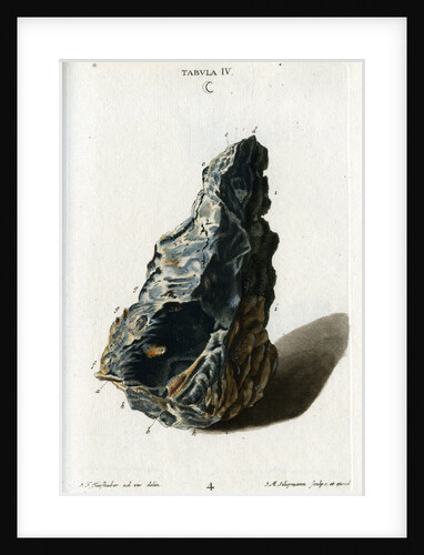 Crude white silver by Johann Michael Seligmann