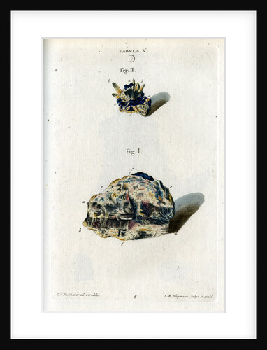 Crude silver by Johann Michael Seligmann