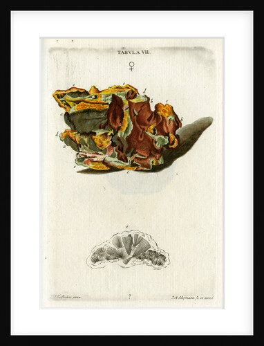 Yellow Copper Pyrites by Johann Michael Seligmann