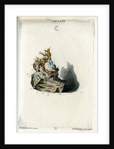 Silver by Johann Michael Seligmann