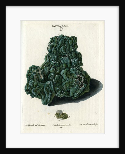 Crystalline Green Copper by Johann Sebastian Leitner