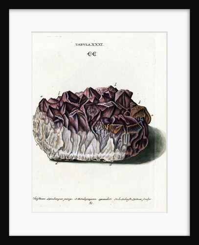 Quartz with Amethyst Crystals by Johann Sebastian Leitner