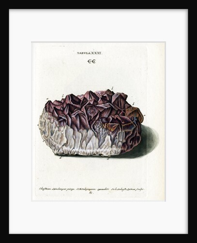 Quartz with Amethyst Crystals by Johann Sebastian Leitner