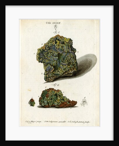 Green mineral of lead by Johann Sebastian Leitner