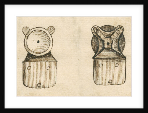 Leeuwenhoek microscope by Henry Baker