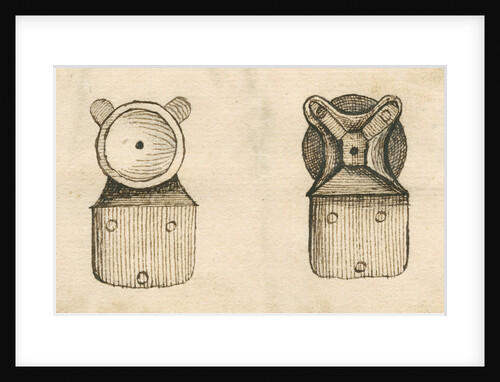 Leeuwenhoek microscope by Henry Baker