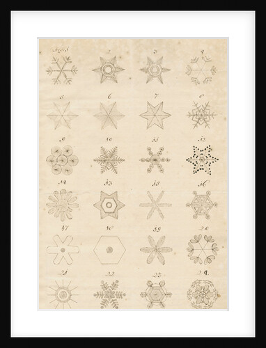 Snowflakes by Leonard Stocke