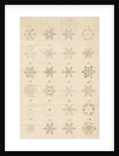 Snowflakes by Leonard Stocke