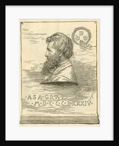 Portrait of Asa Gray (1810-1888) by R. L.