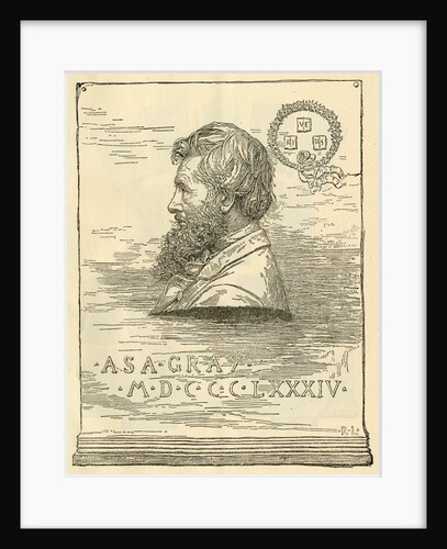 Portrait of Asa Gray (1810-1888) by R. L.