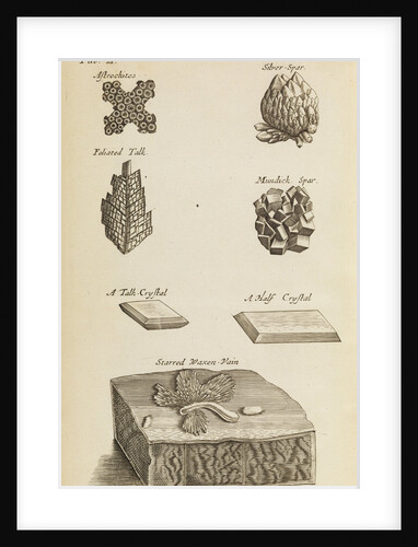 Stones and crystals in the Royal Society's Repository by Anonymous