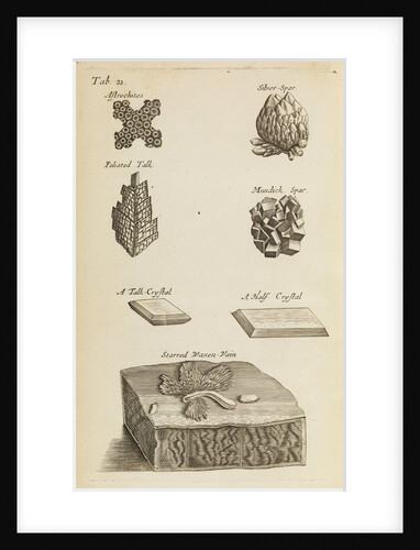 Stones and crystals in the Royal Society's Repository by Anonymous