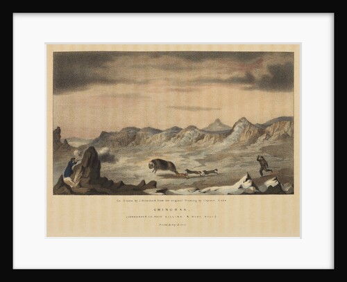 James Clark Ross killing a musk ox by John Brandard