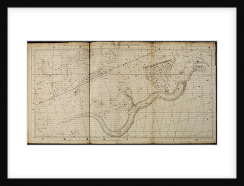 Hydra, from John Flamsteed's 'Atlas Coelestis' by Anonymous