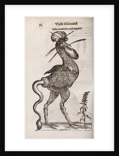 A 'monstrous cockerel with a snake's tail' by unknown
