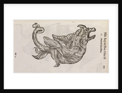 A 'dragon' made from fish parts by unknown