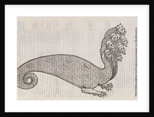 A 'hydra' by unknown