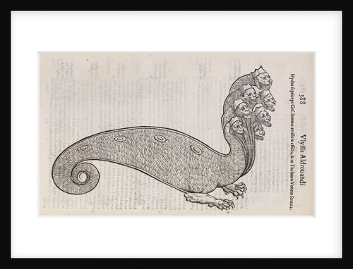A 'hydra' by unknown