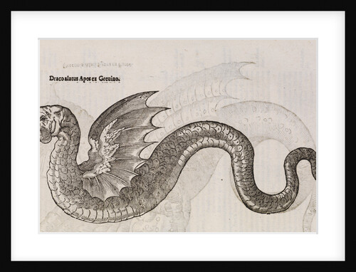 A 'winged dragon' by unknown