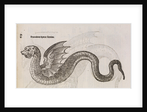A 'winged dragon' by unknown
