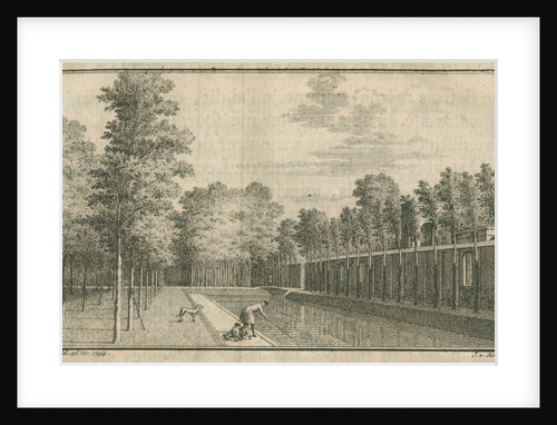 Abraham Trembley and pupils collecting hydra by Jacobus van der Schley