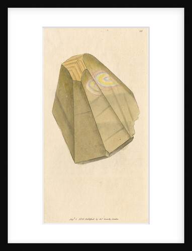 'Calx carbonata' by James Sowerby