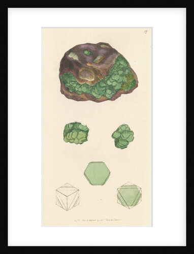 'Cuprum arseniatum' by James Sowerby