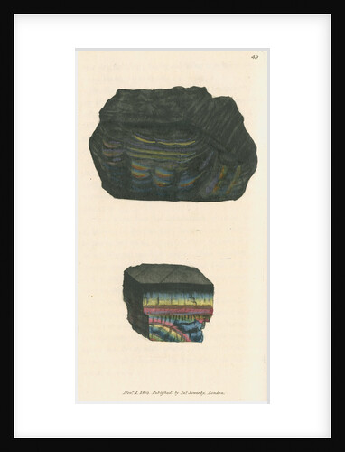 Carbo oxygenizatus by James Sowerby