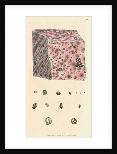 Calx carbonata by James Sowerby